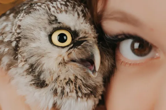 Casino Loco Win Ënnerstëtzung